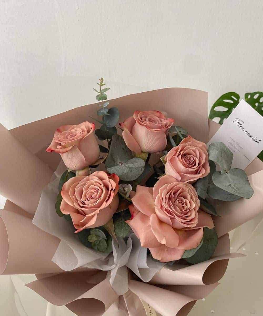 Classic Cappuccino Rose – Flooverish Florist