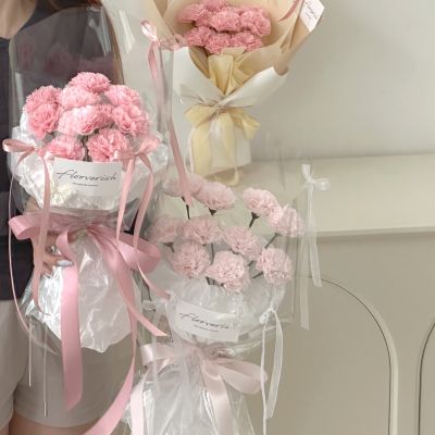Cheerful carnation big
