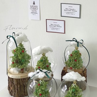 Preserved Christmas Tree bell jar