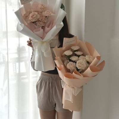 Imported Columbia Carnation