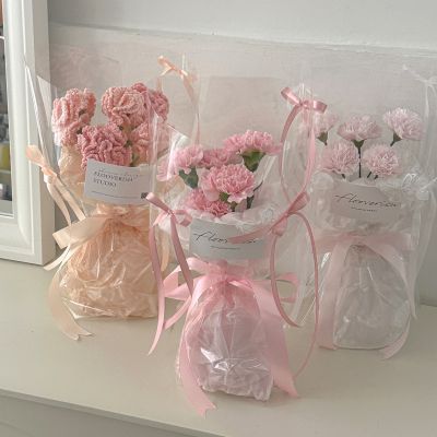 Cheerful carnation