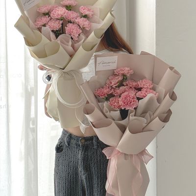 Sweet carnation