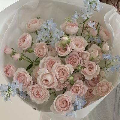 K-style Pastel Spray Rose